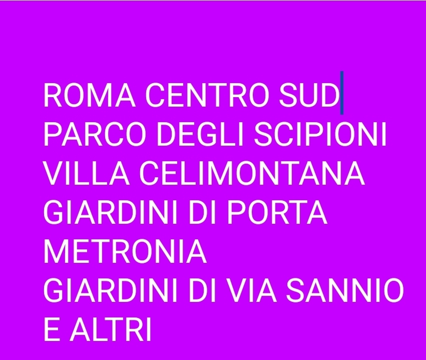 Cristina Assirelli