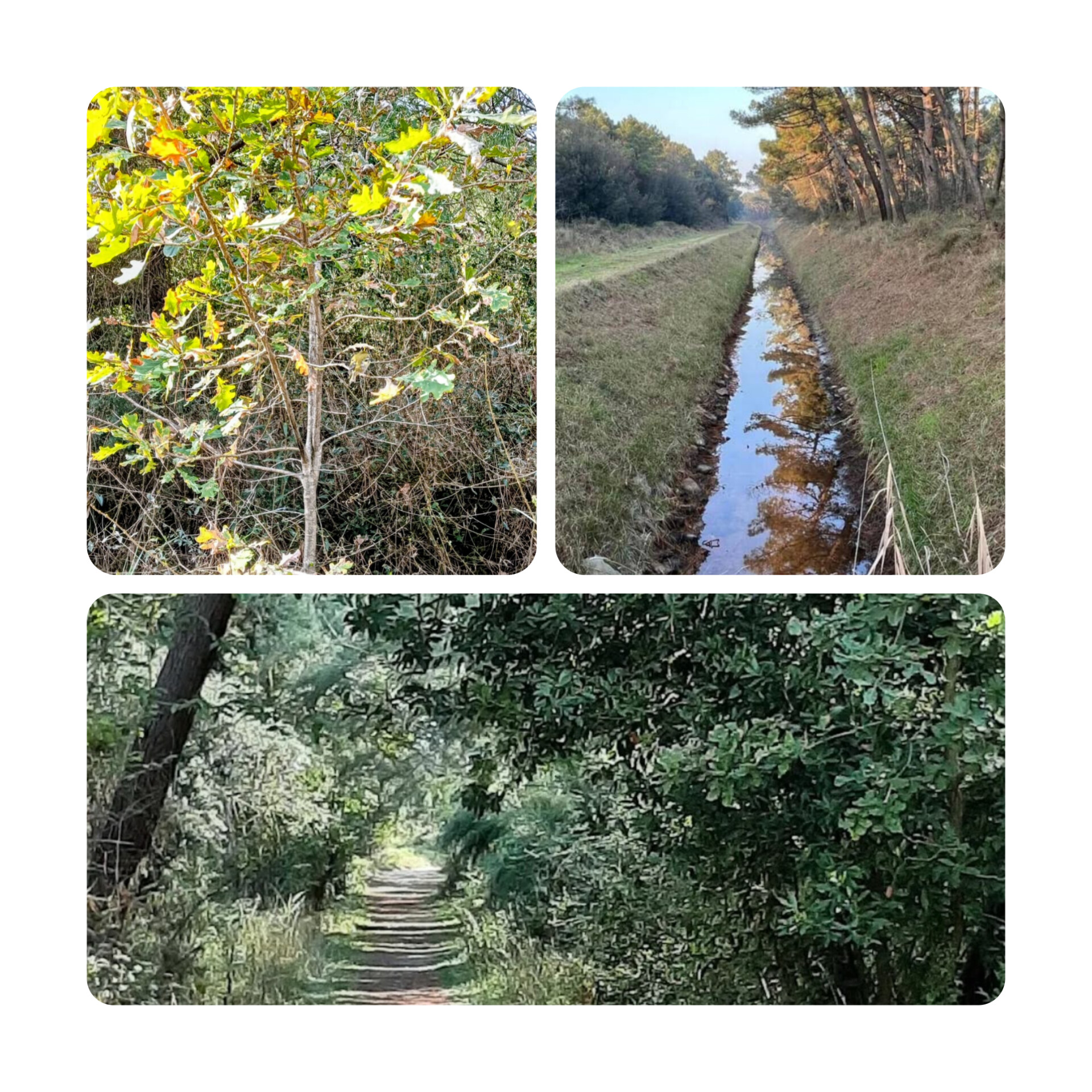 PARCO DELL'USIGNOLO 