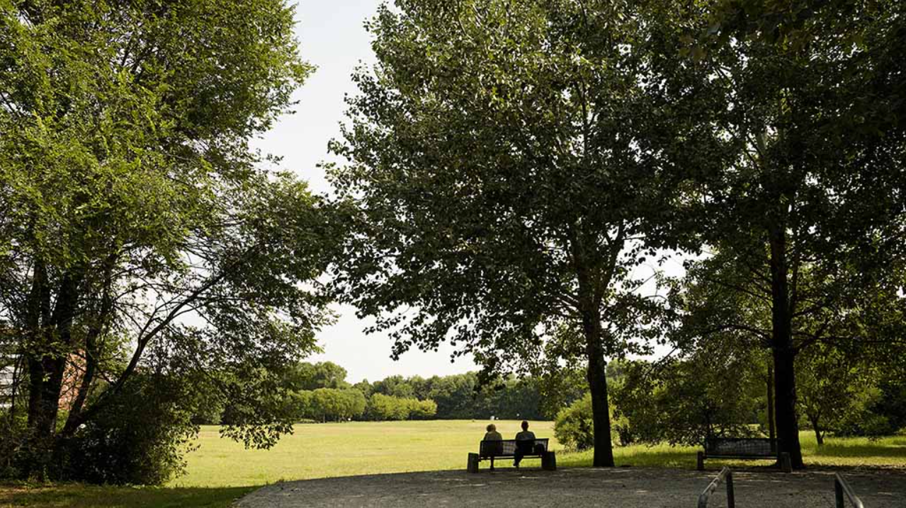 Parco / Bosco TrePalle
