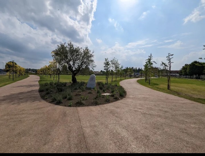 PARCO DELL'OLIVO SAONARA