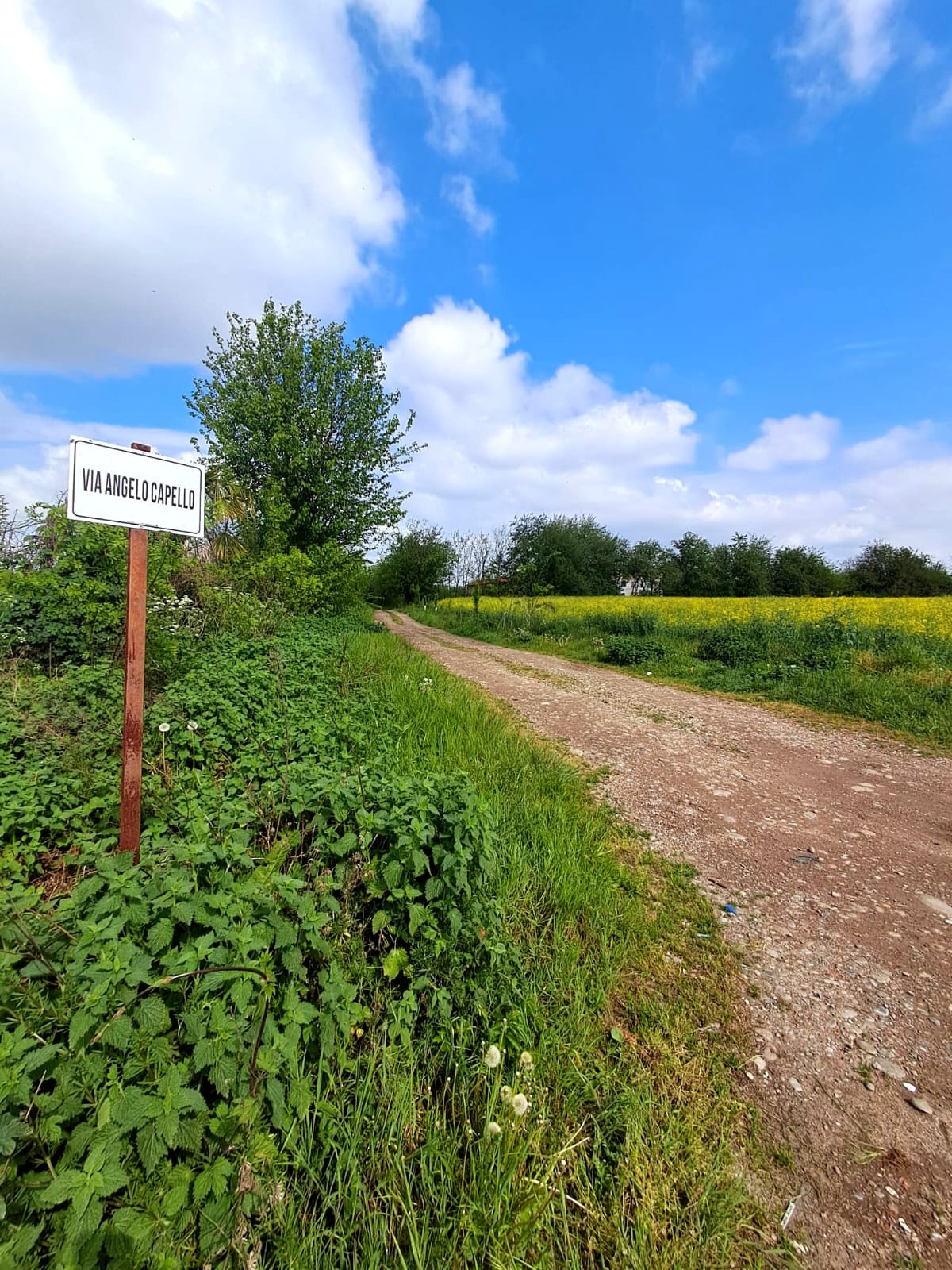 Parco del Roccolo, Parabiago