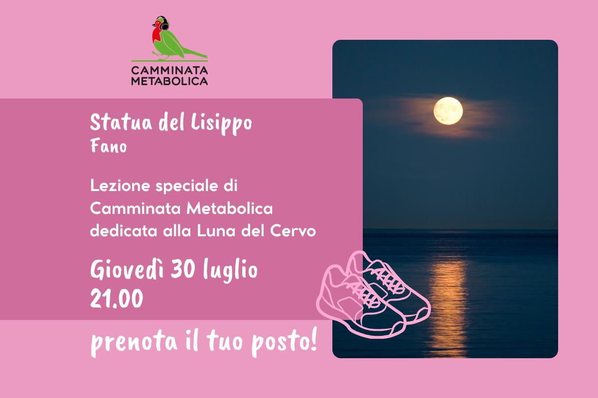 FANO - LUNA DEL CERVO
