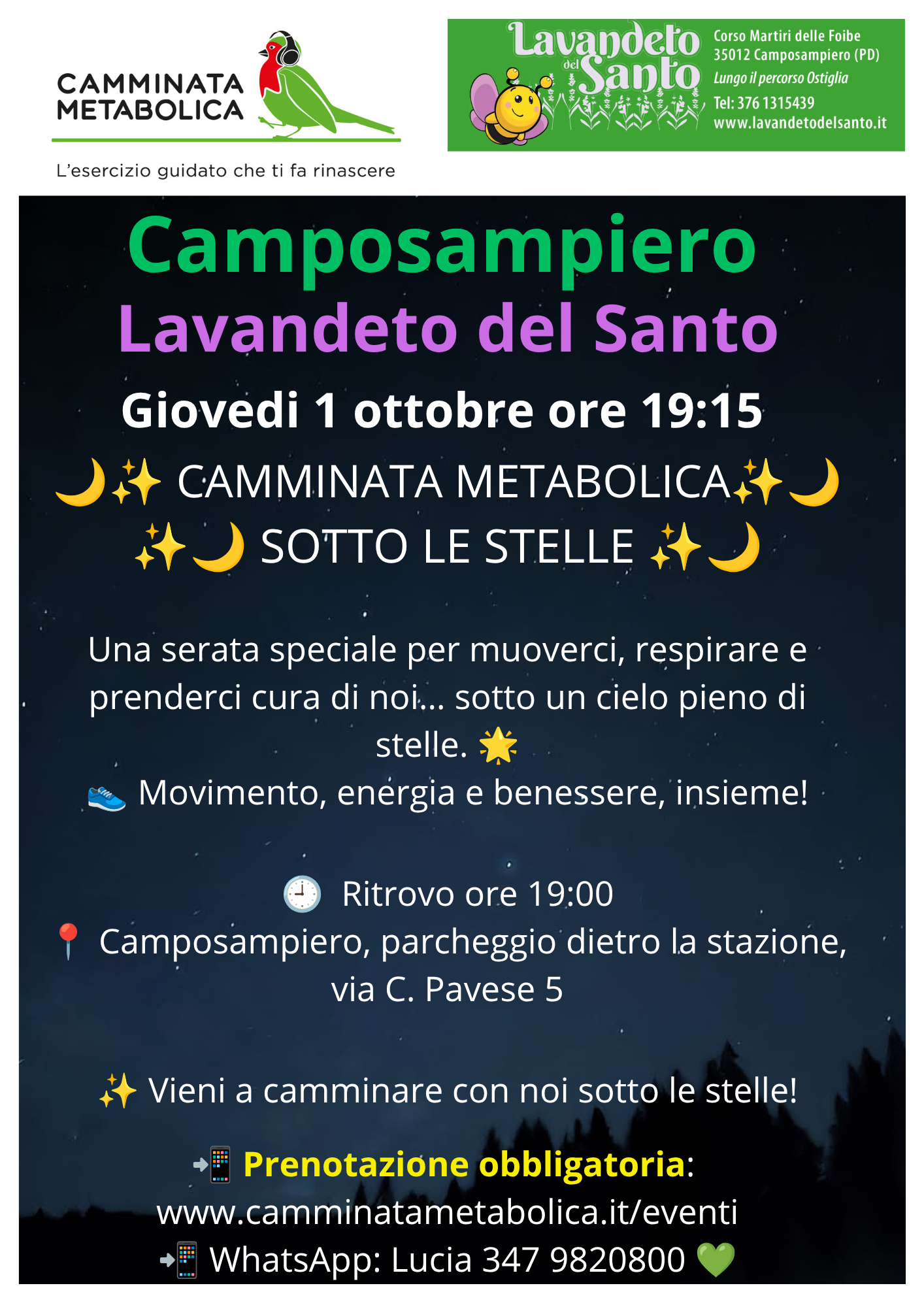 Camminata sotto le stelle 