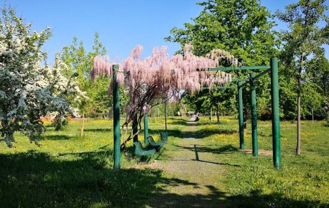 Campo di Marte 2