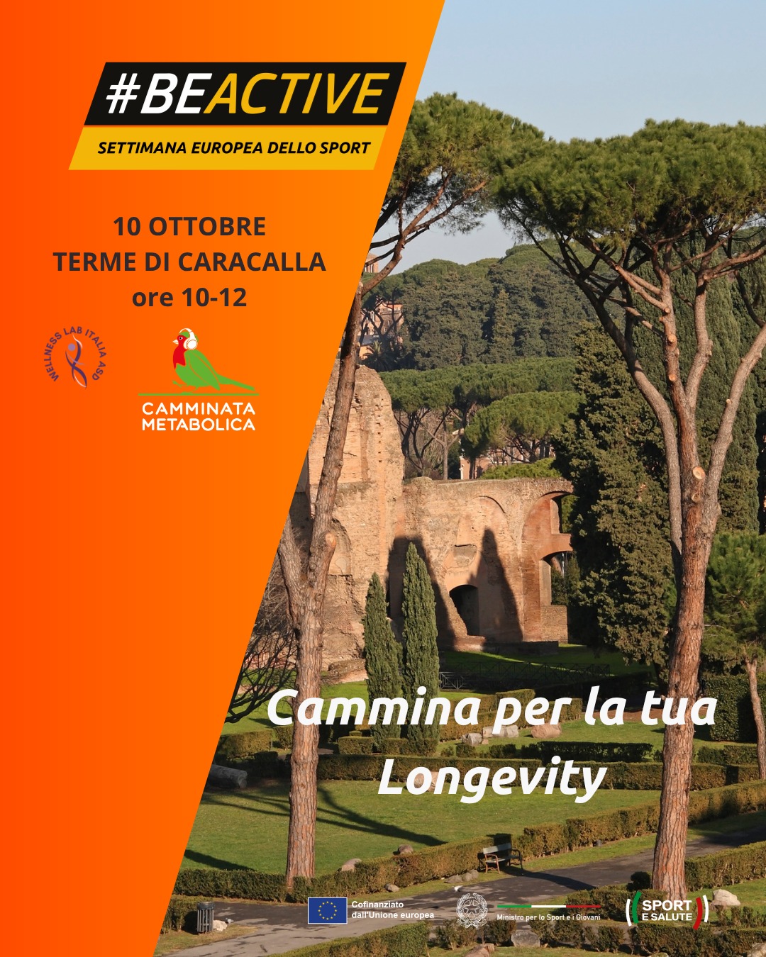 TERME DI CARACALLA | CAMMINA PER LA TUA LONGEVITY
