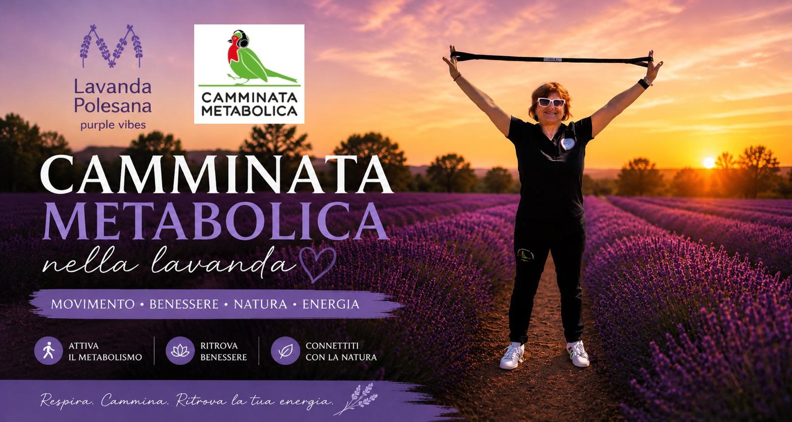Camminata Metabolica nella Lavanda 