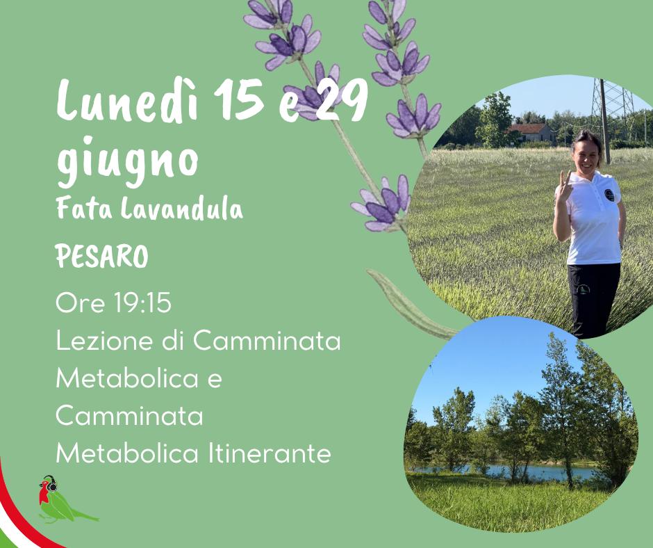 PESARO - EVENTO NELLA LAVANDA