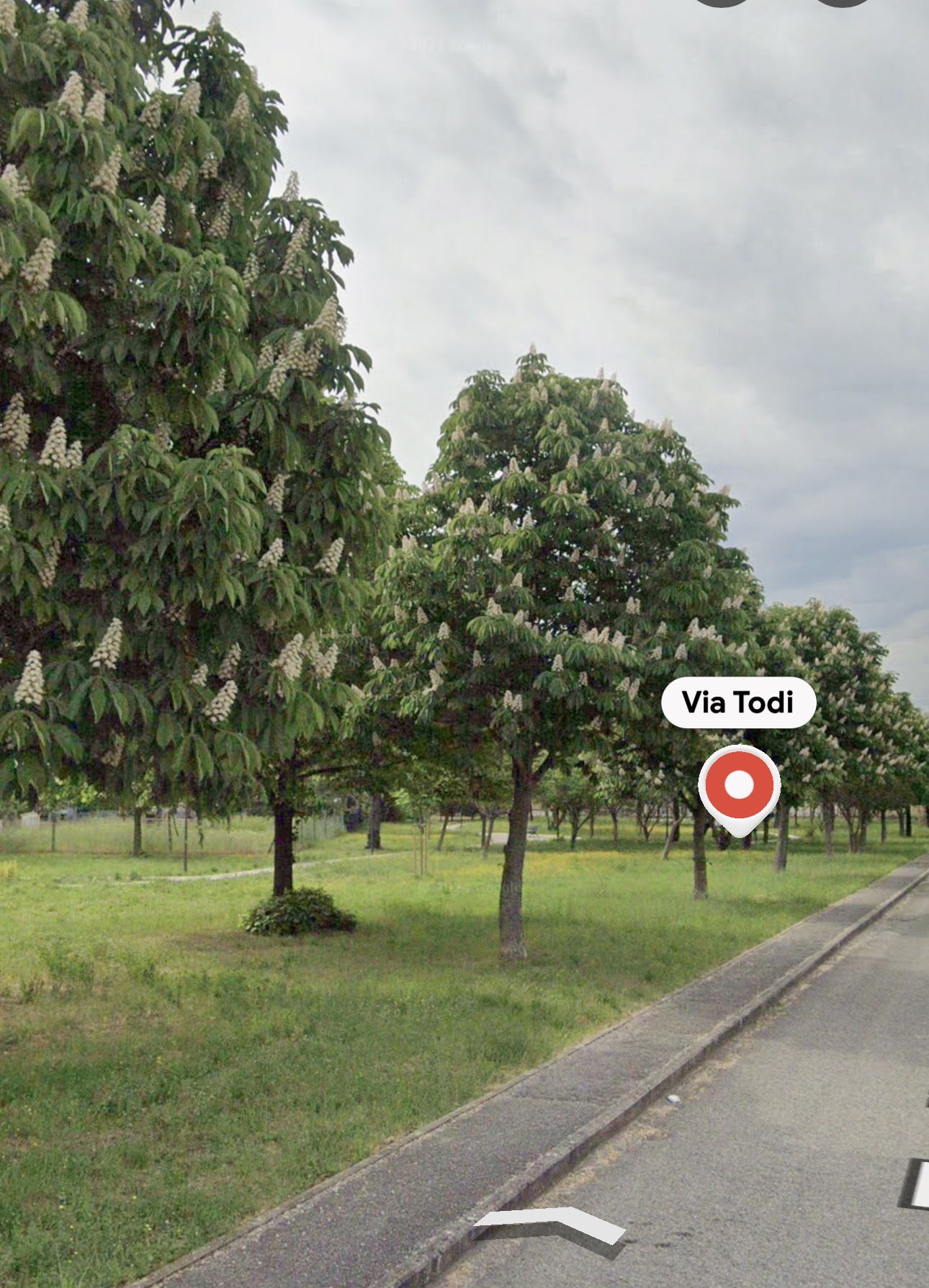 Il Parco di Via Todi