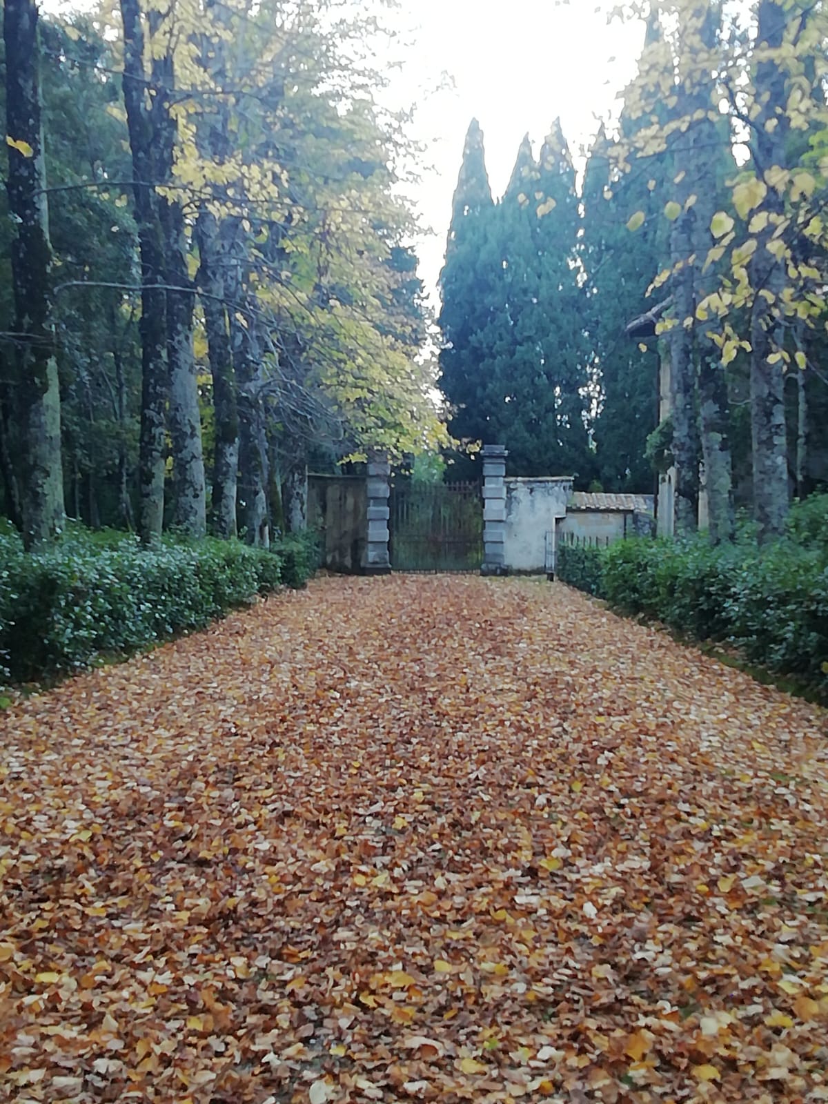 tenuta i Bonsi