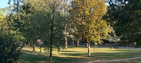 OPEN DAY - LEZIONE DIMOSTRATIVA AL PARCO RUFFINI TORINO