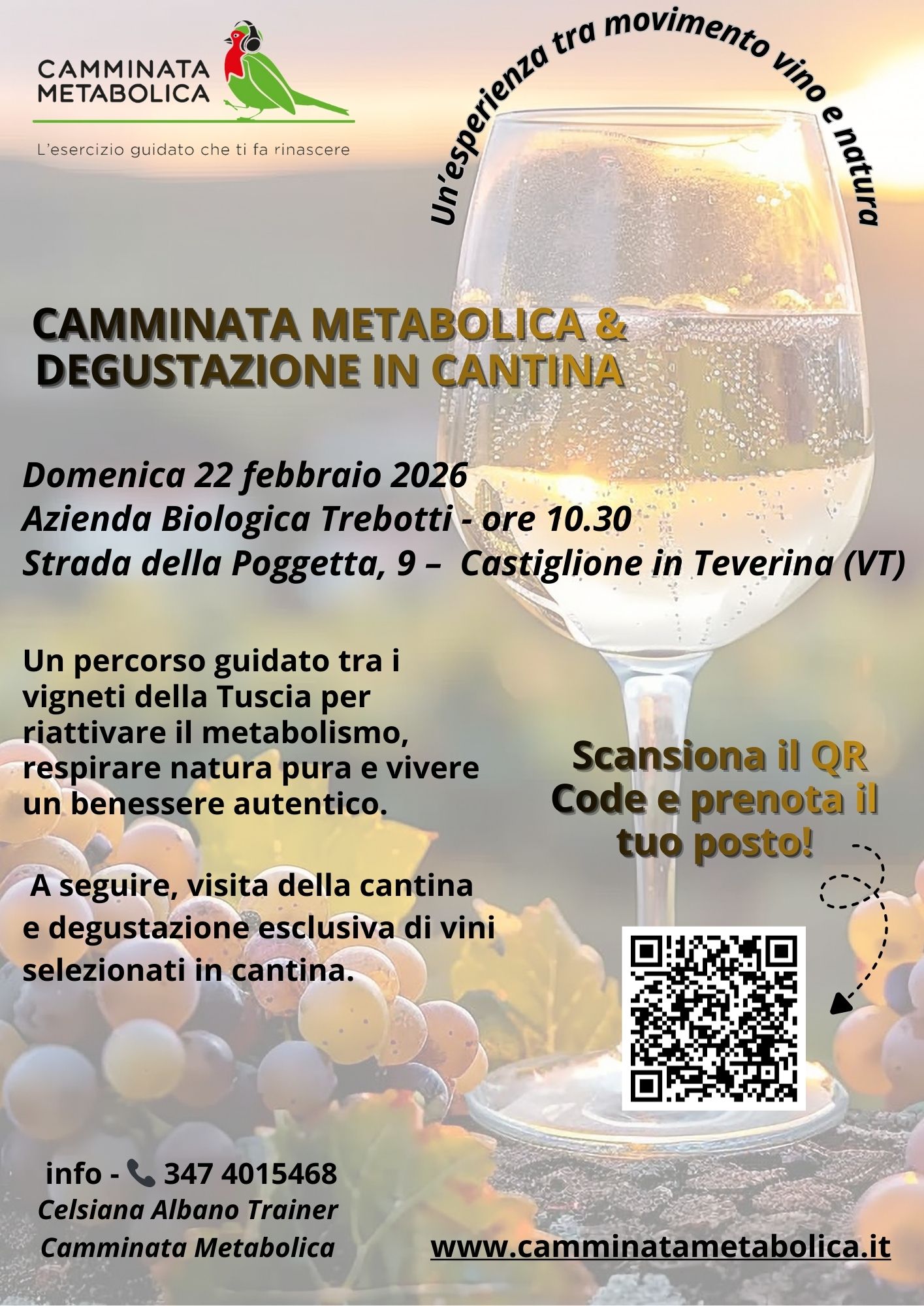 CAMMINATA METABOLICA & DEGUSTAZIONE IN CANTINA