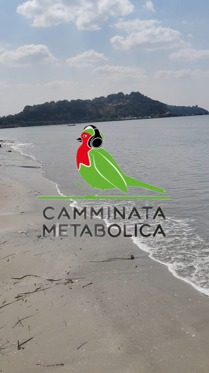 MAREMMA METABOLICA - FONTEBLANDA 