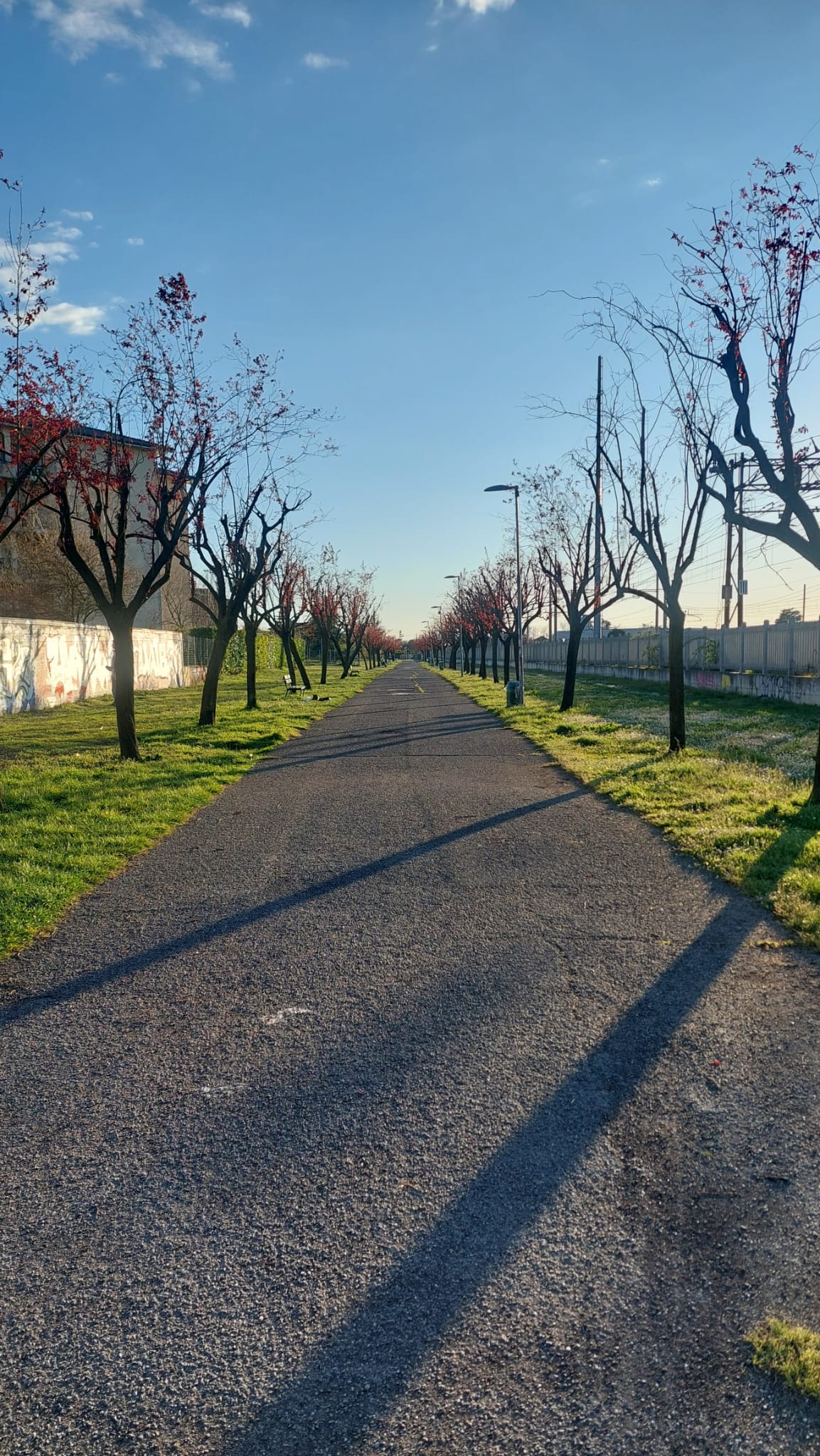 Parco Via Cignoli Voghera