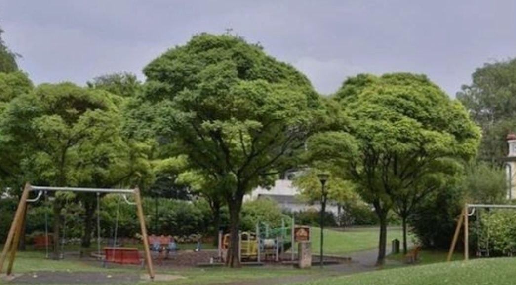 parco Maso Ginocchio 