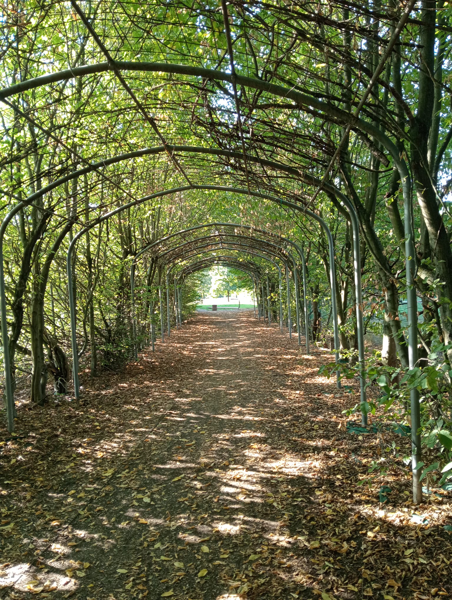 Parco dell'Acqua
