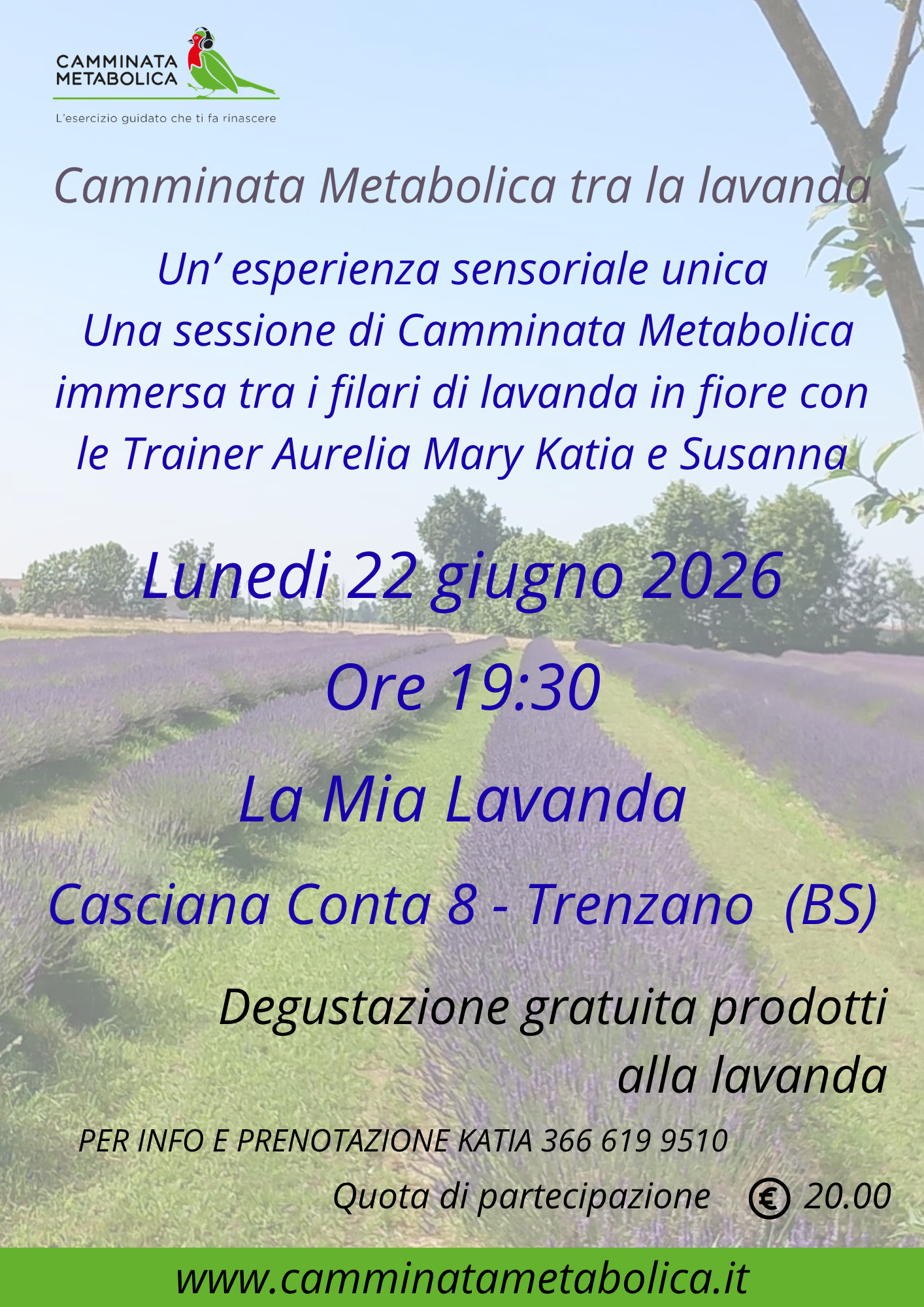 CAMPO "LA MIA LAVANDA"