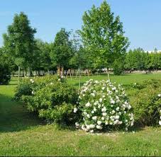 Parco  Emmer