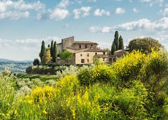 Castello la leccia 