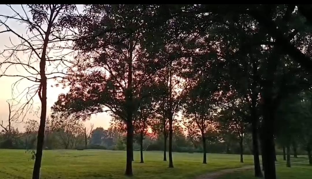  Parco del PO