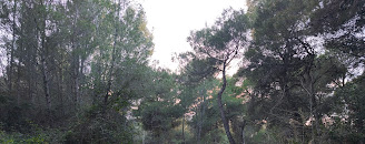 Riserva Naturale Pineta Dannunziana