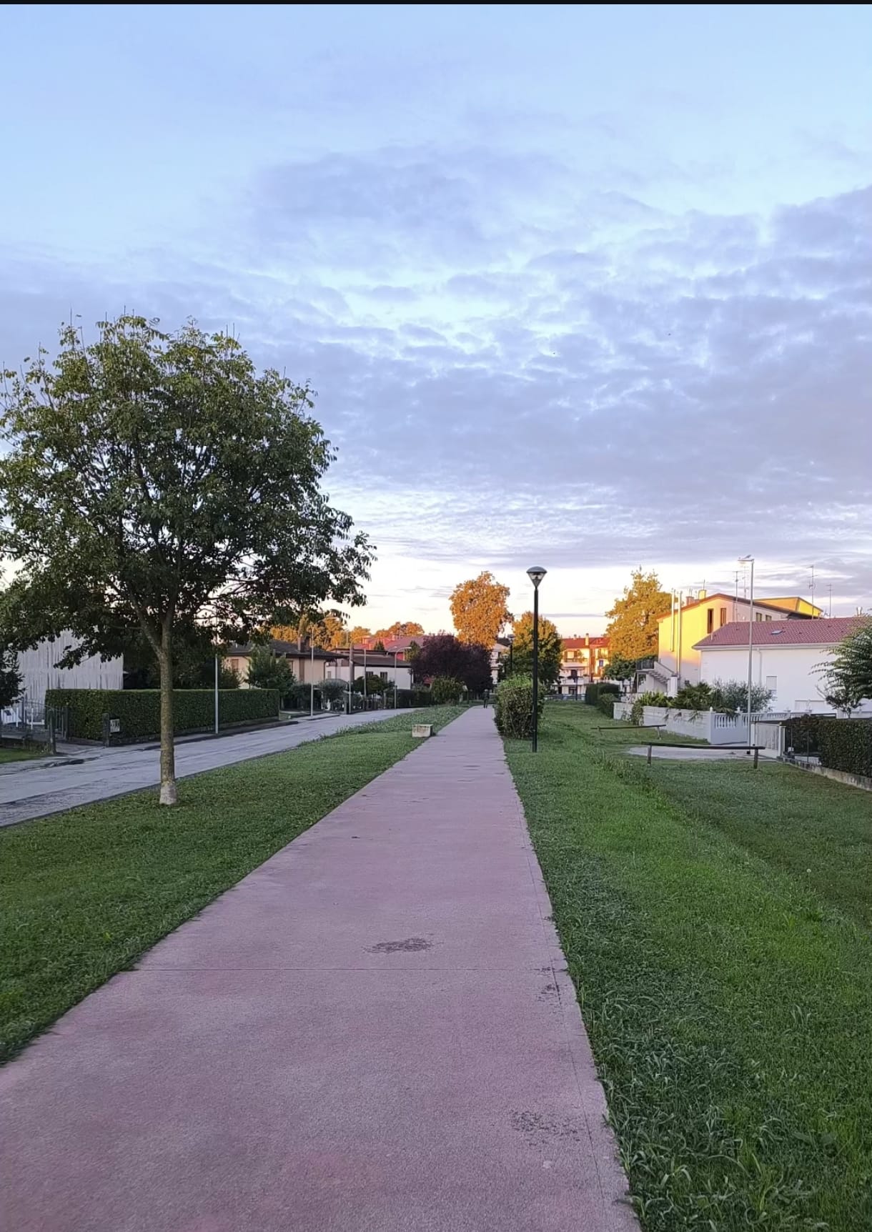 Pista ciclabile