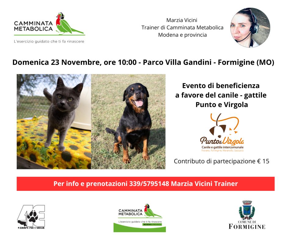 Evento di beneficienza Canile Gattile Punto e Virgola