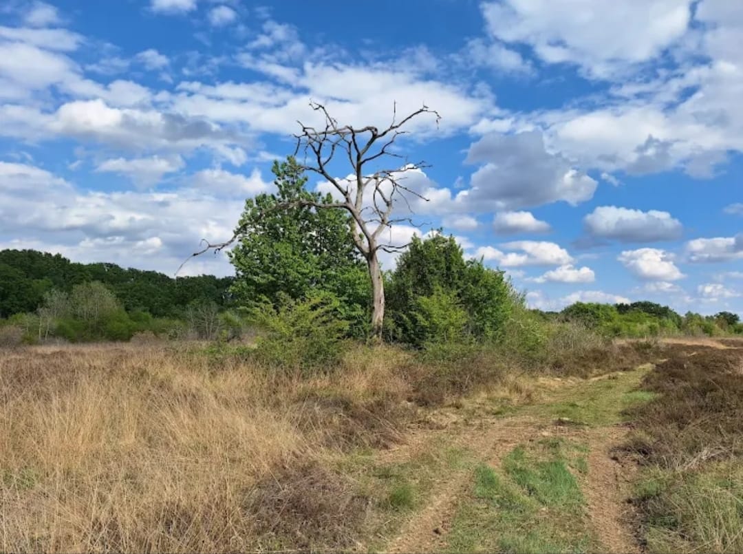 Riserva Naturale delle Baragge