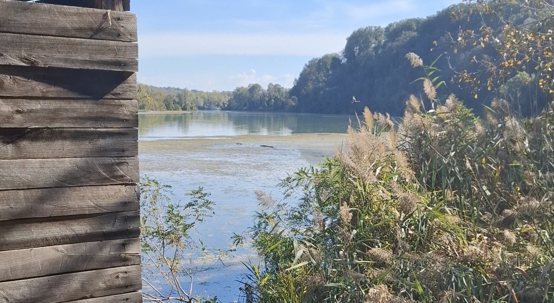 Riserva naturale Tevere-Farfa