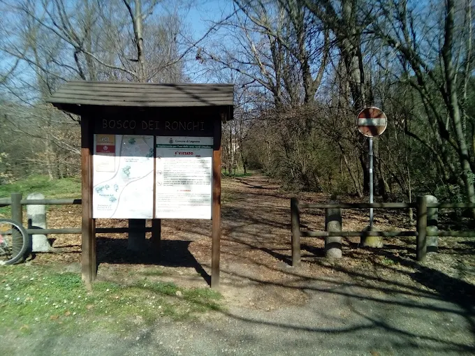Parco BOSCO dei Ronchi 