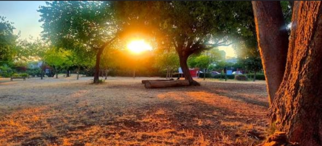 Parco Uditore