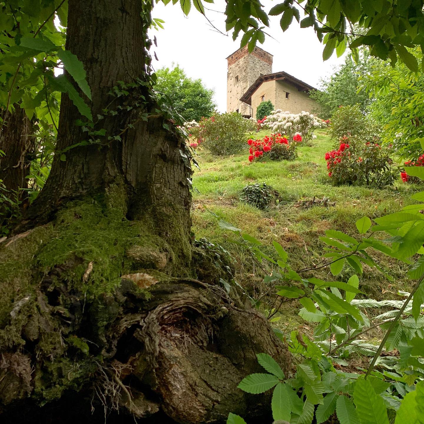 Castello di Bagnolo