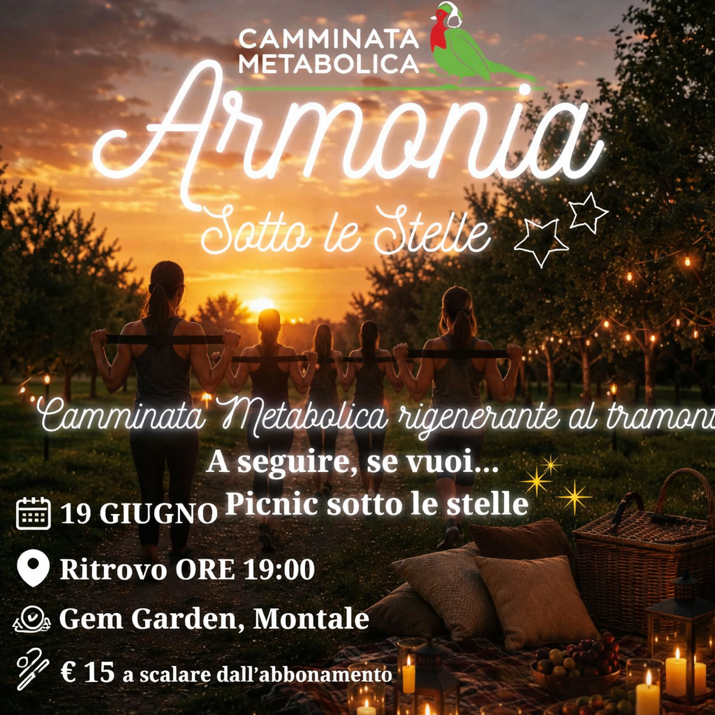 Armonia sotto le Stelle