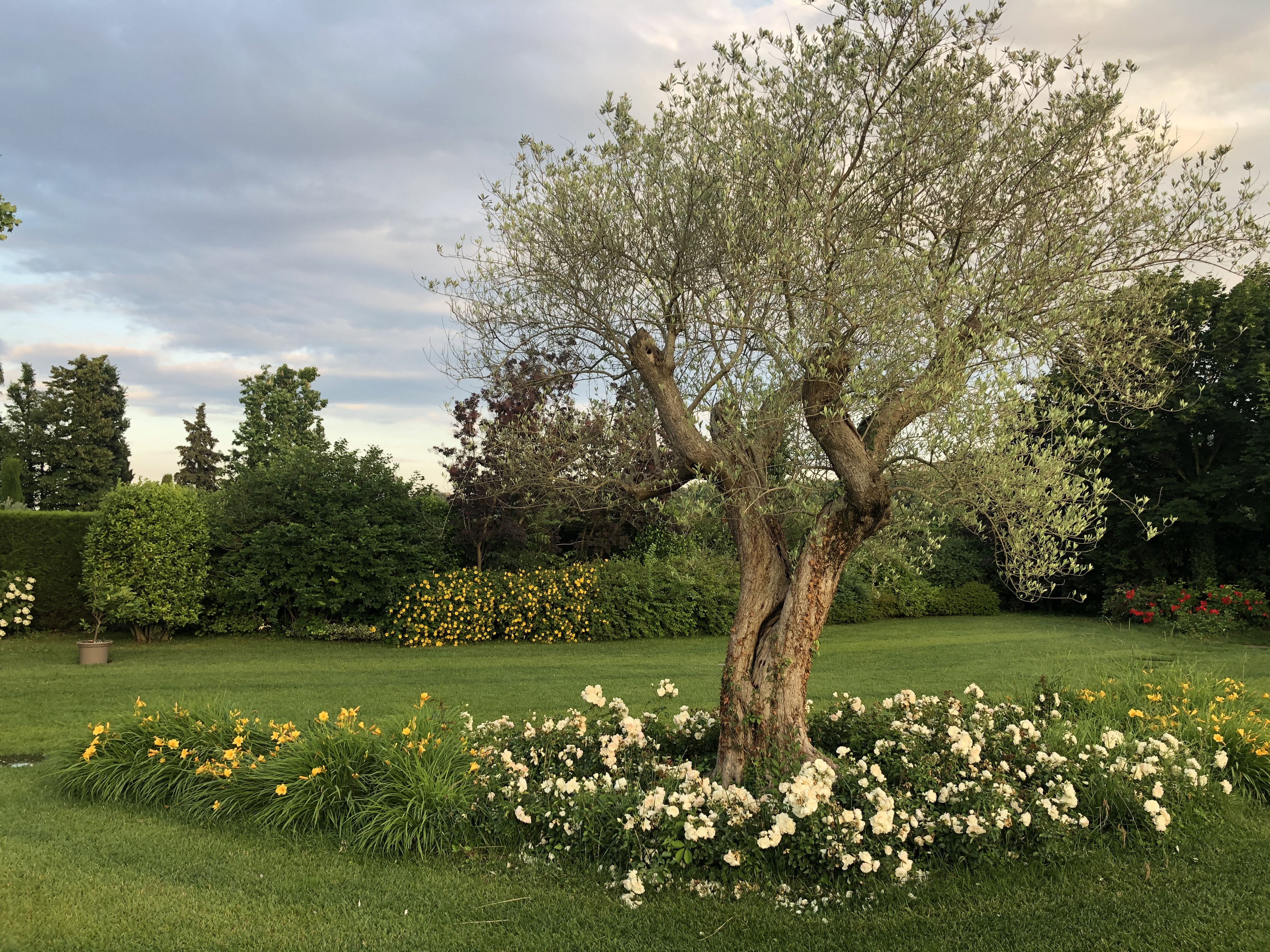 Giardino Ca' Brusà, Valeggio sul Mincio