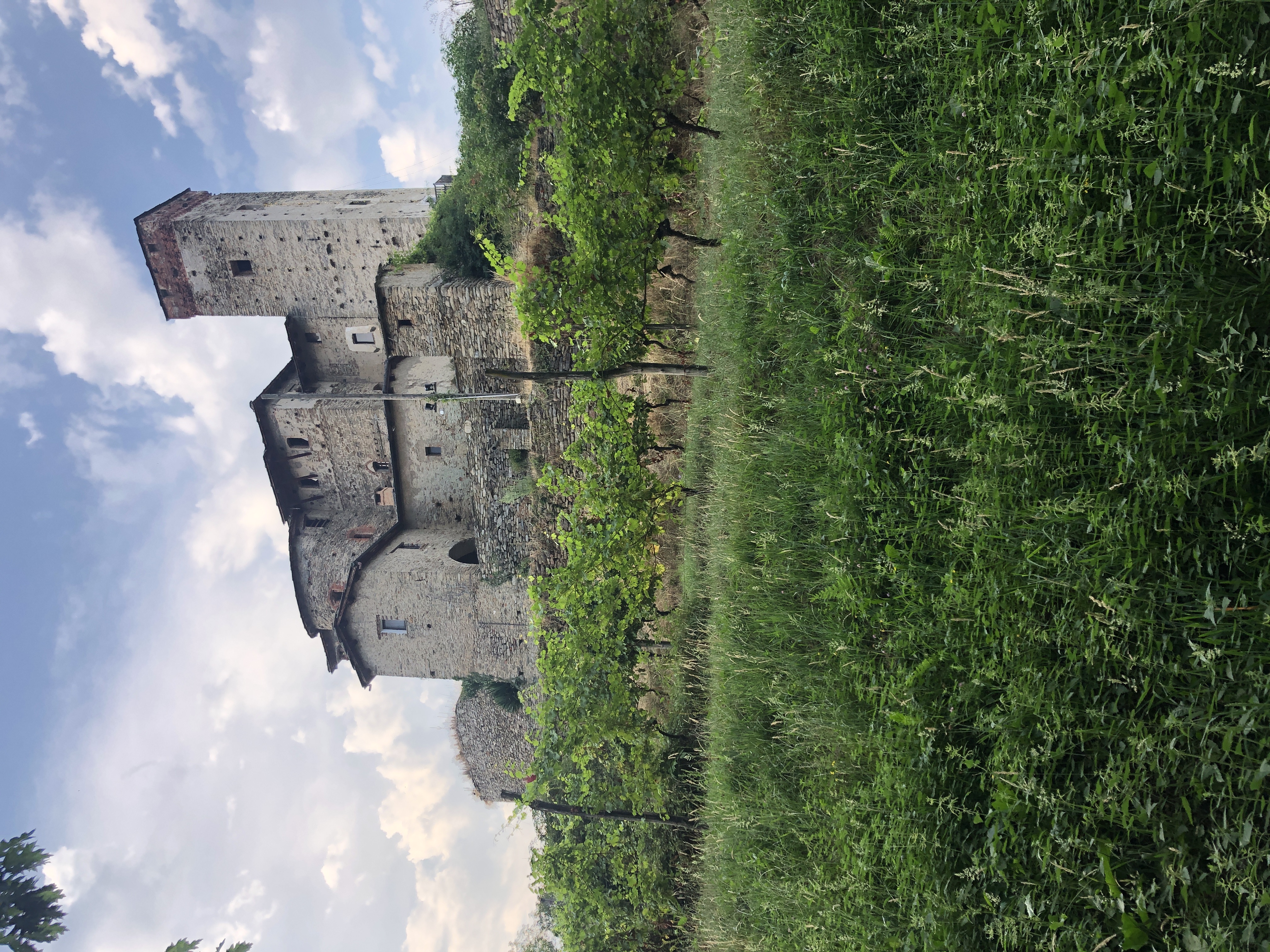 Castello di Bagnolo