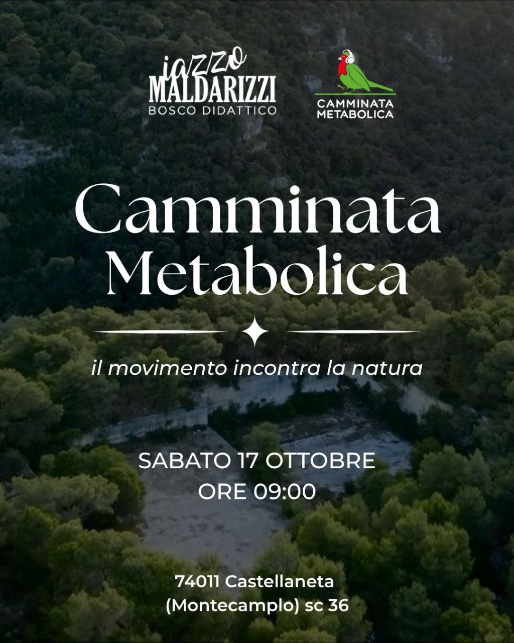 IAZZO MALDARIZZI