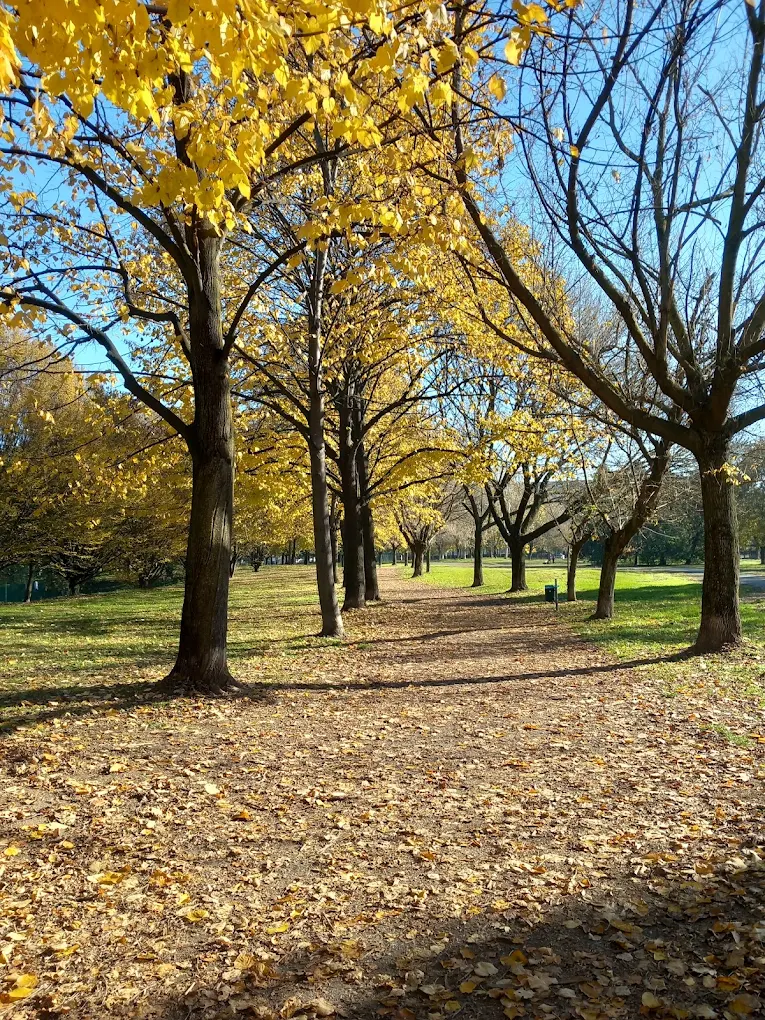 Venaria Reale Parco Salvo D'acquisto