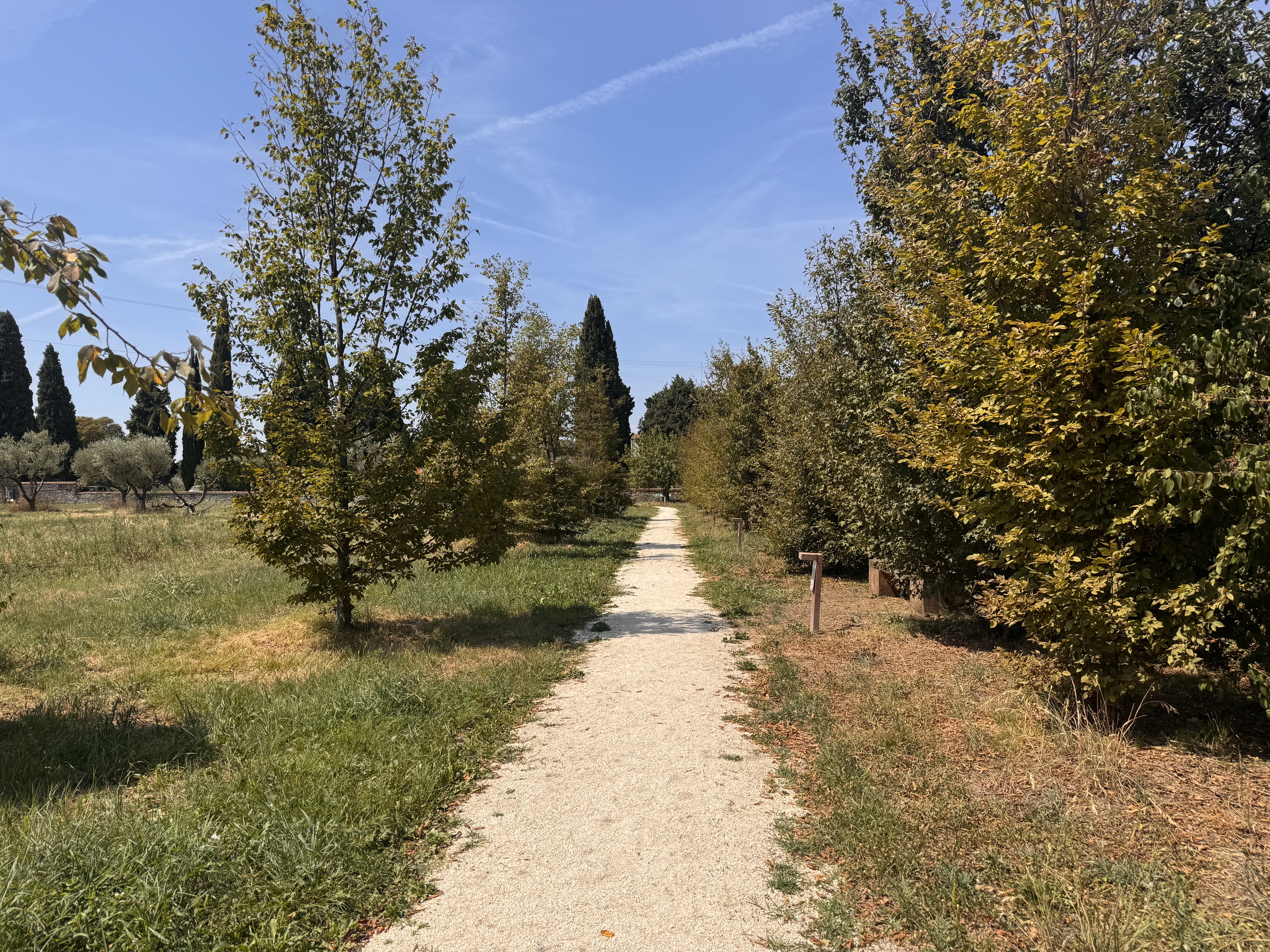 Bassano del Grappa, Villa Angaran S. G.