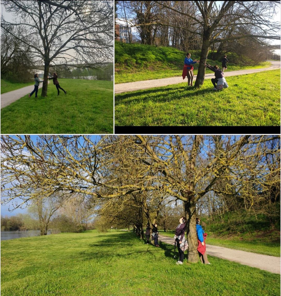 Pavia Parco Ticcino- 