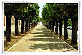 PARCO DEL PINCIO MORROVALLE 