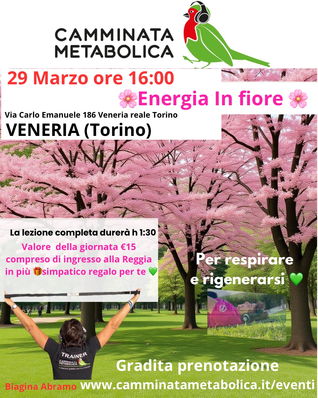 Venaria Reale Torino 