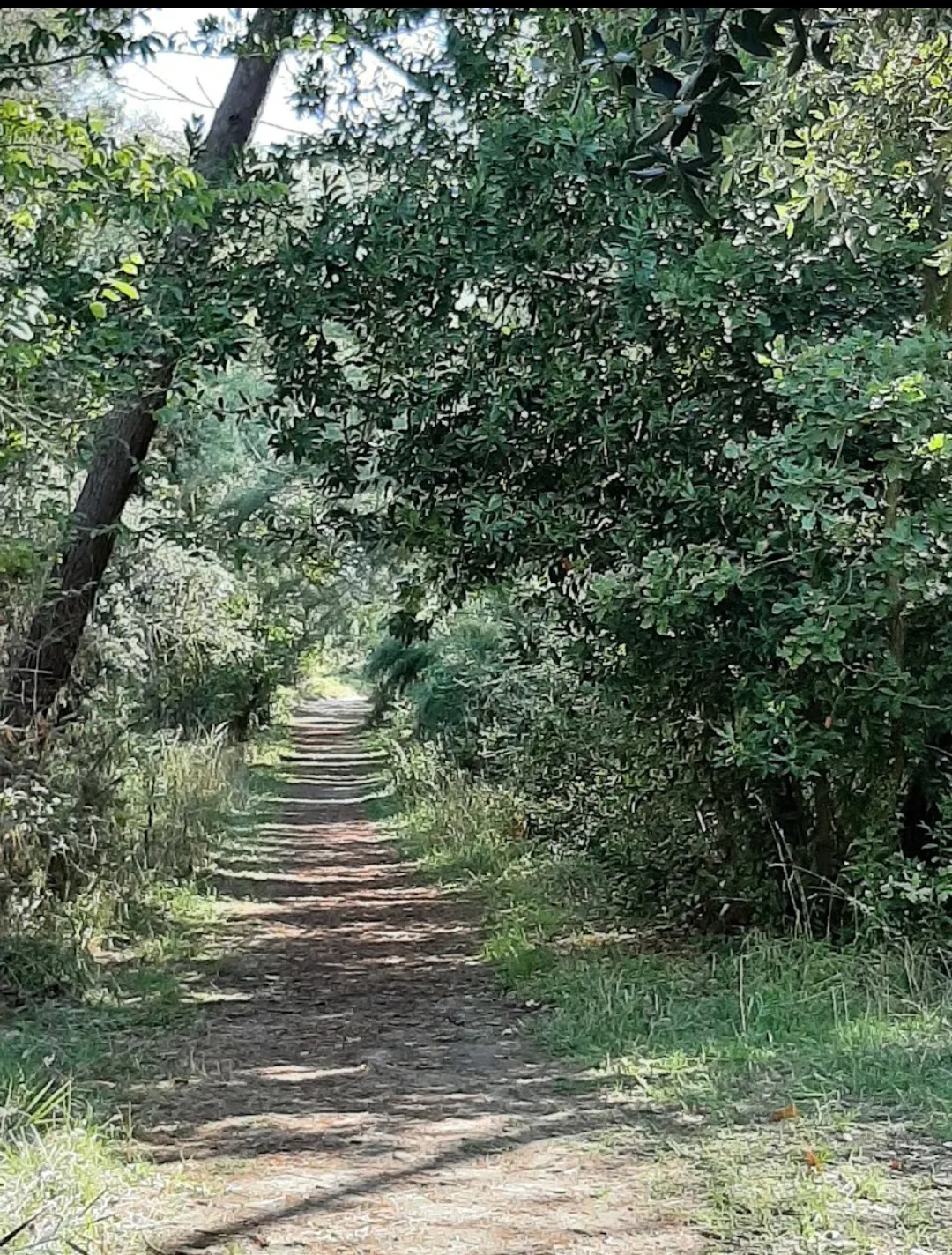 PARCO DELL'USIGNOLO 